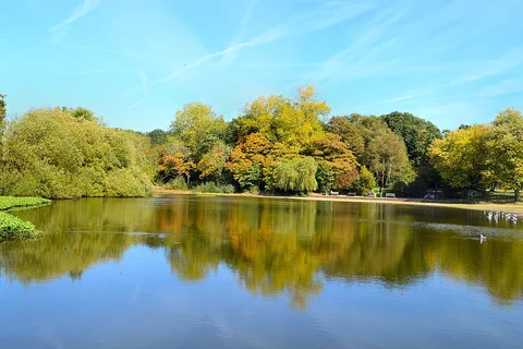An image depicting the trail Down View Wood and Walton On The Hill and its surrounding area.