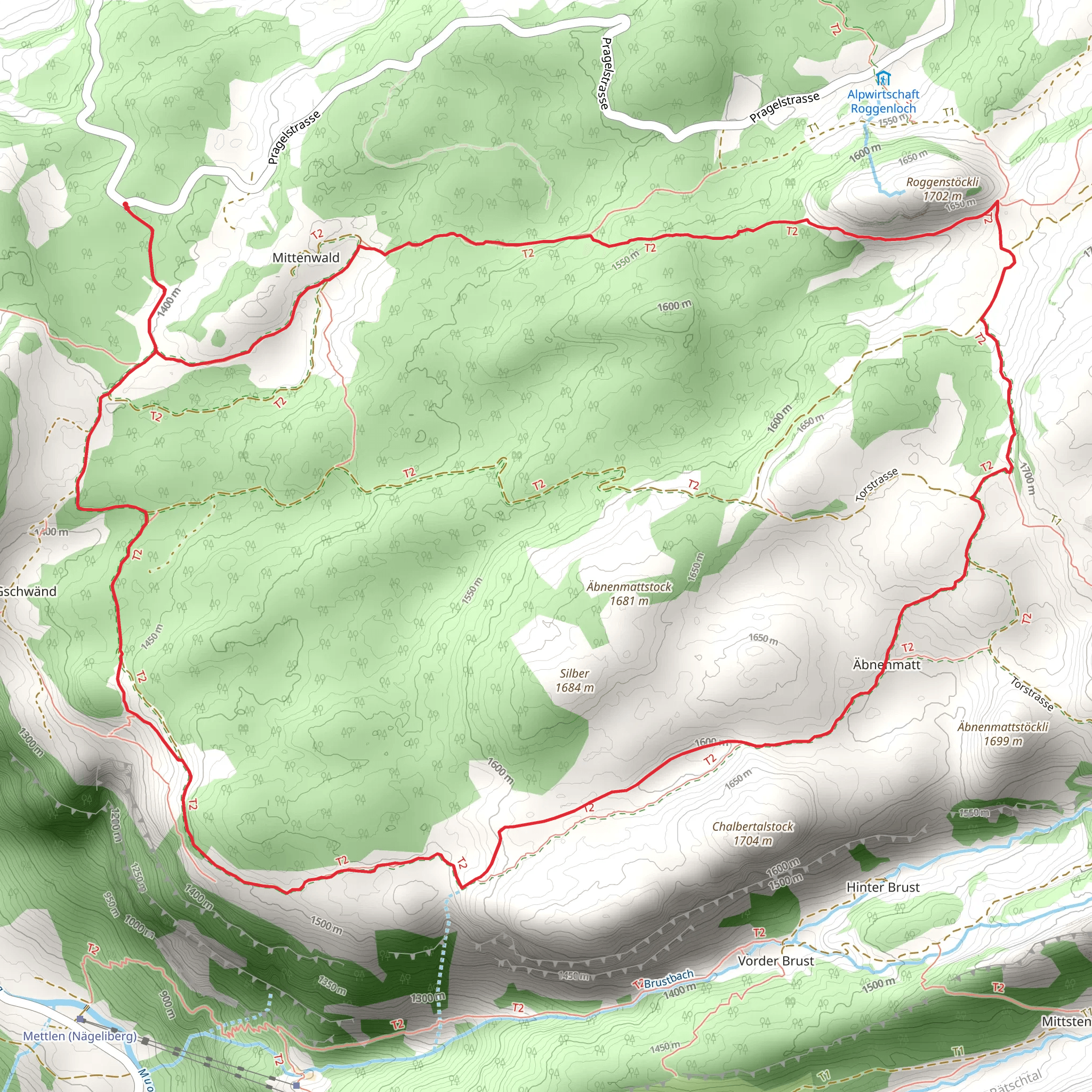 Muotathal - Eigeliswald Loop Trail mobile static map
