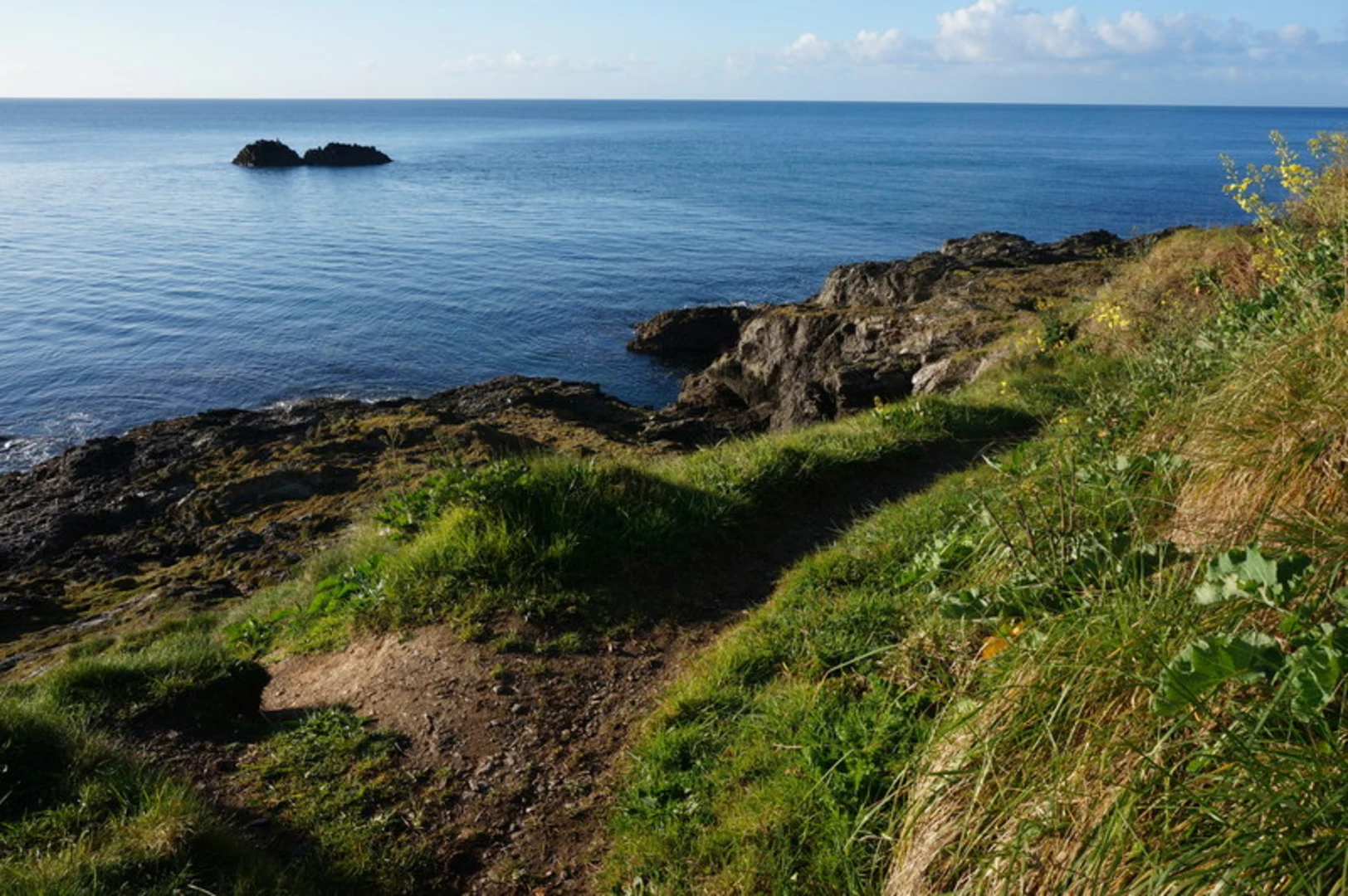 An image depicting the trail National Trust - Little Dartmouth Loop and its surrounding area.