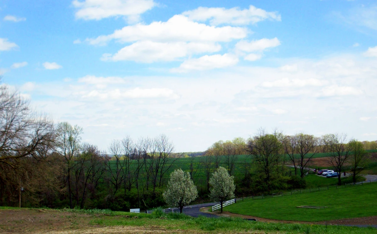 Cheslen Preserve - Red Trail and Purple Loop Tral - Embreeville