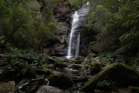 Snug Falls Track