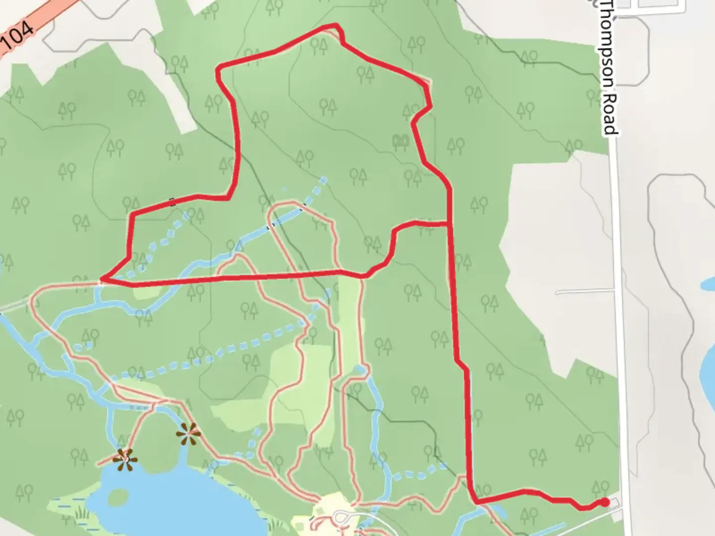 An image depicting the trail Blue and Orange Loop Trail from Thompson Road and its surrounding area.