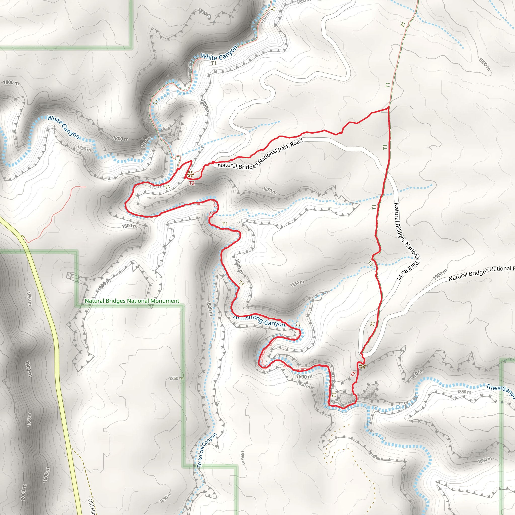 Armstrong Canyon and Owachomo Bridge Loop mobile static map