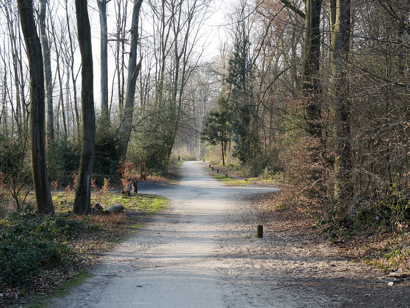 An image depicting the trail Gysenberg Rundweg and its surrounding area.