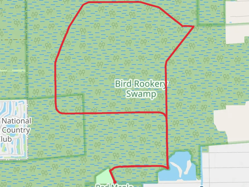 Bird Rookery Swamp Loop Trail