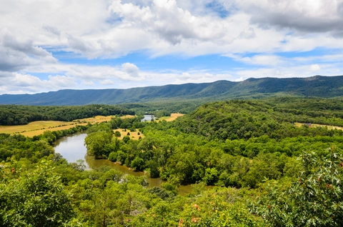 An image depicting the trail Tuscarora - Veach Gap Trail and its surrounding area.
