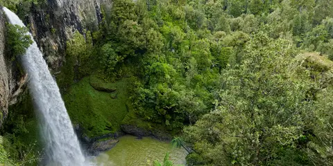 An image depicting the trail Bridal Veil Falls Walkway and its surrounding area.