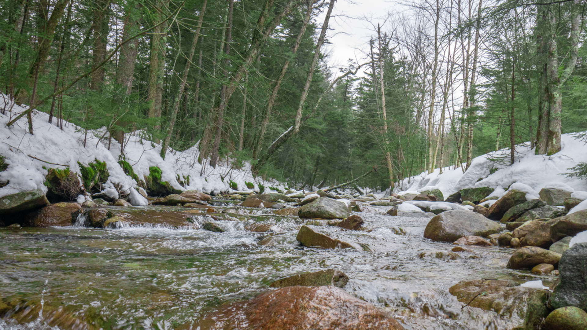 An image depicting the trail Moat Mountain Trail and its surrounding area.