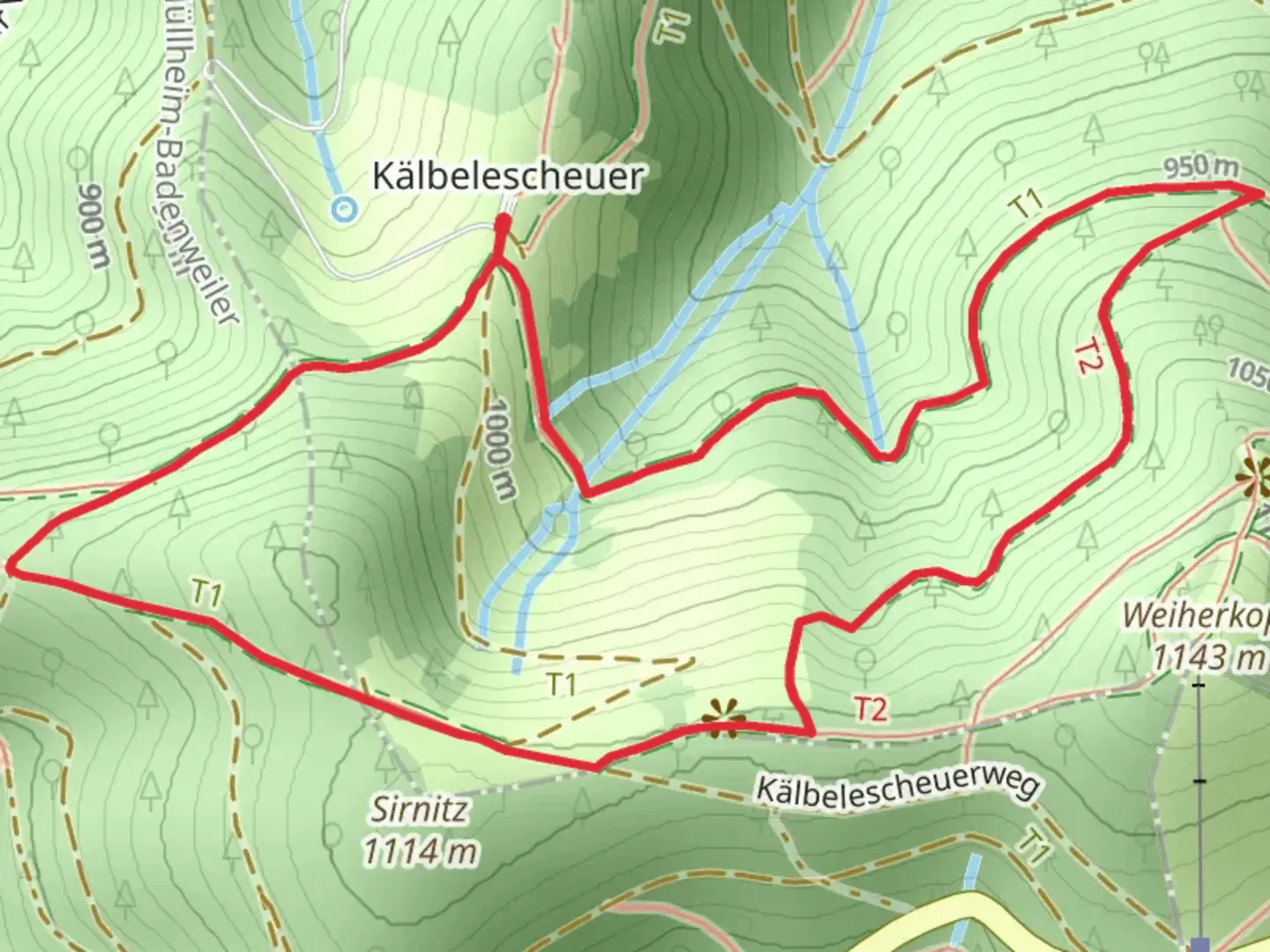 An image depicting the trail Sirnitz Loop and its surrounding area.