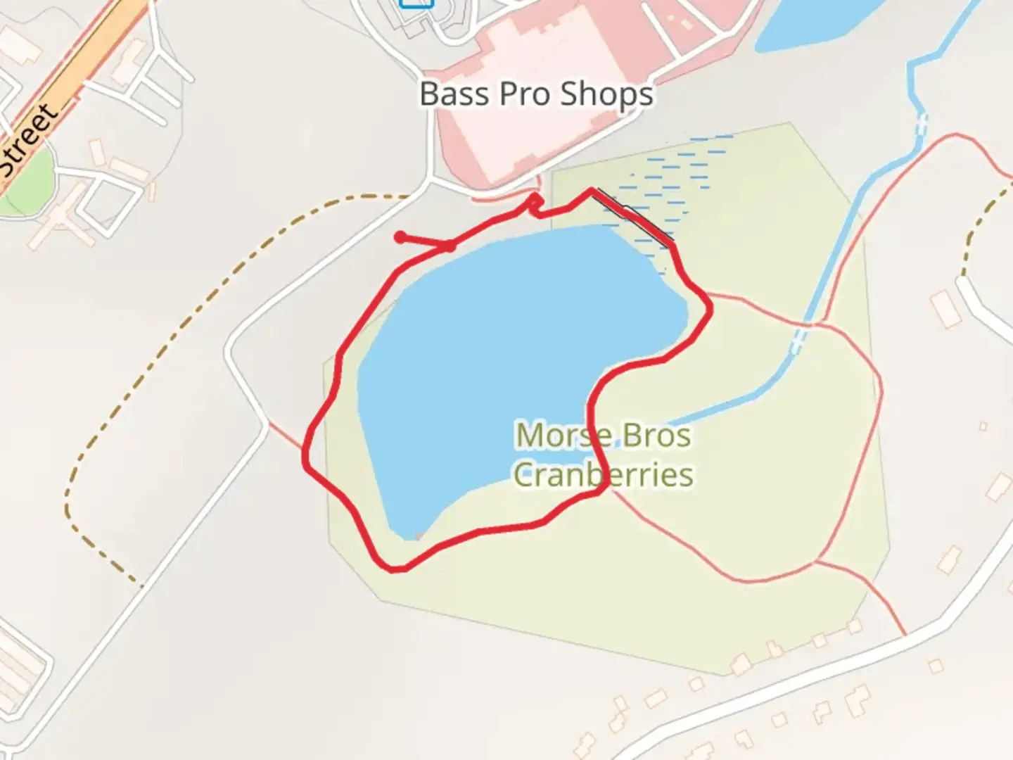 An image depicting the trail Pine Acres Pond Loop Trail and its surrounding area.