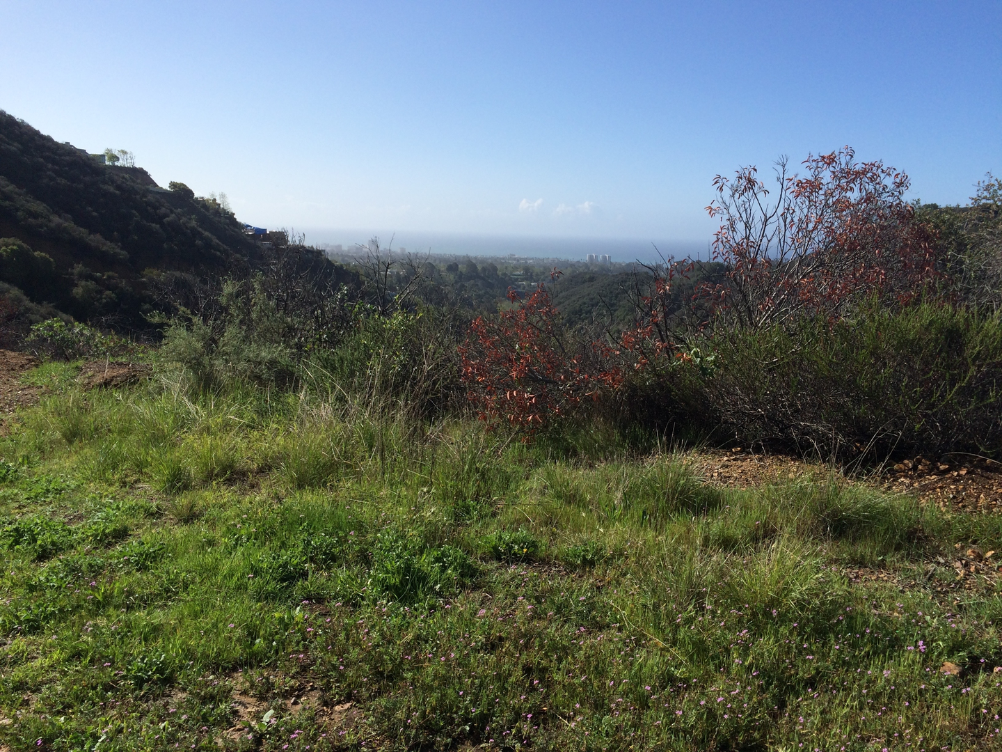 An image depicting the trail Eagle Rock and Temescal Peak via Santa Ynez TrailLoop and its surrounding area.