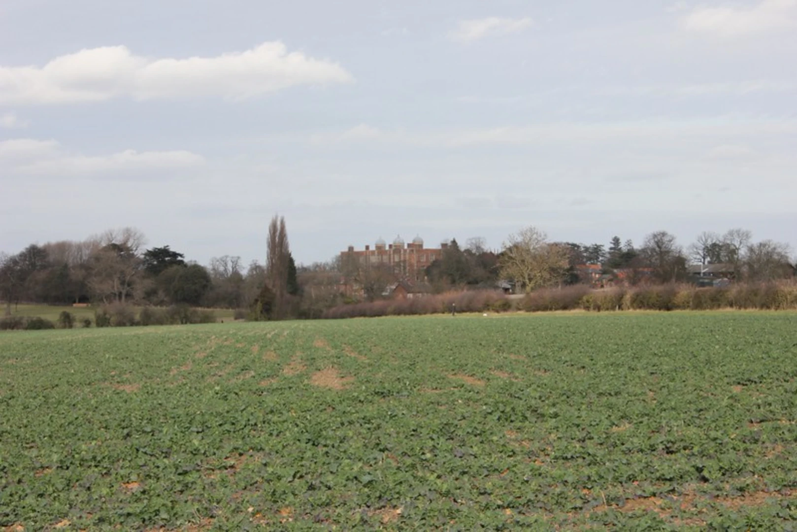 An image depicting the trail Doddington Hall Loop and its surrounding area.