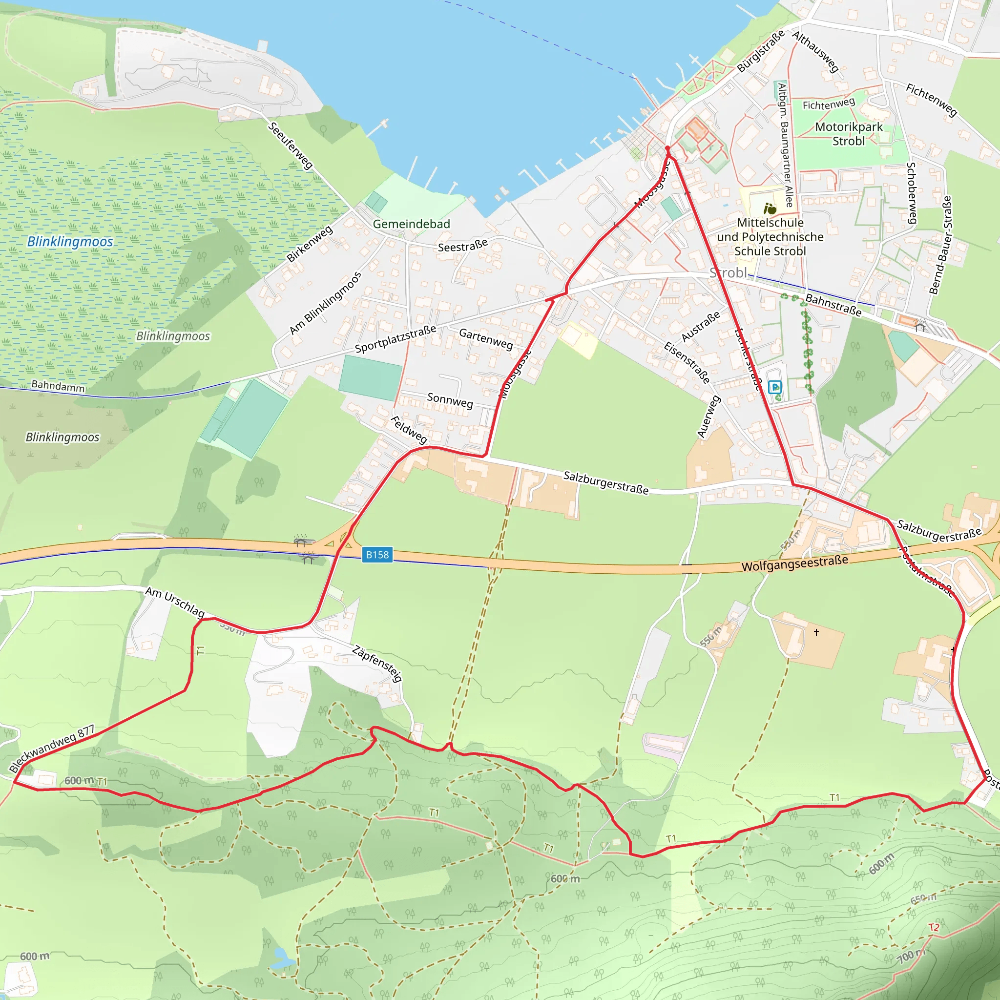 Zäpfensteig Loop mobile static map