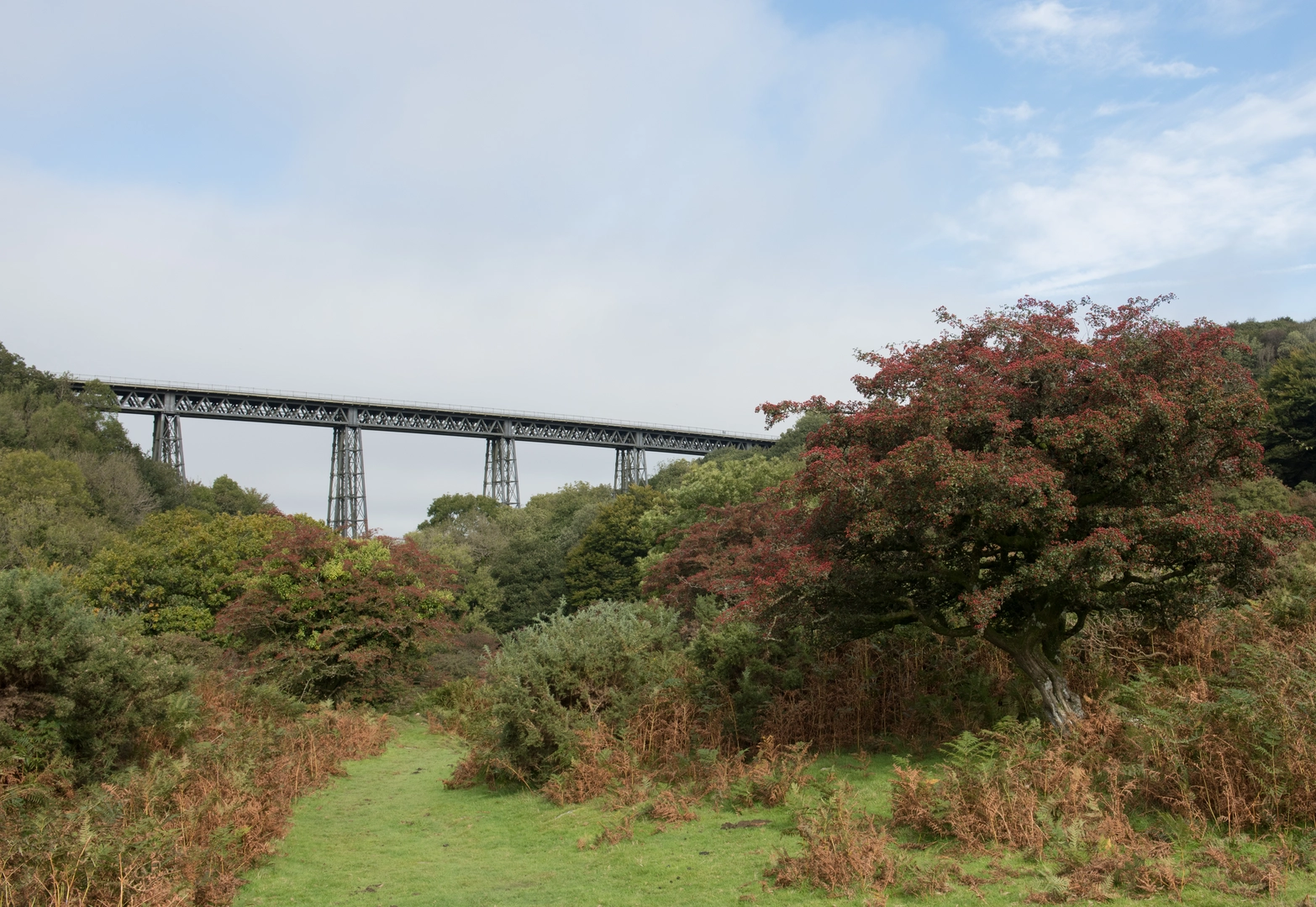 An image depicting the trail Granite Way - Okehampton to Lydford and its surrounding area.