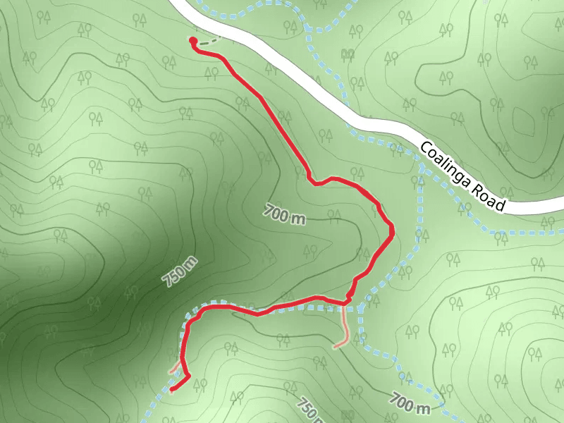 Coalinga Road Walk to Creek