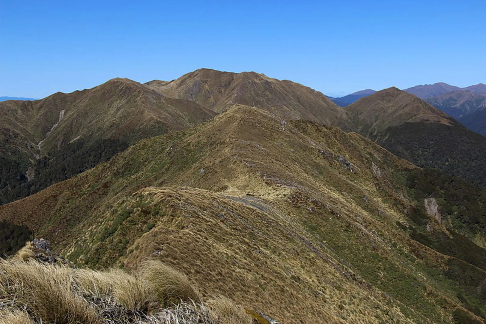 An image depicting the trail Tararua Range Mutli-day Loop and its surrounding area.