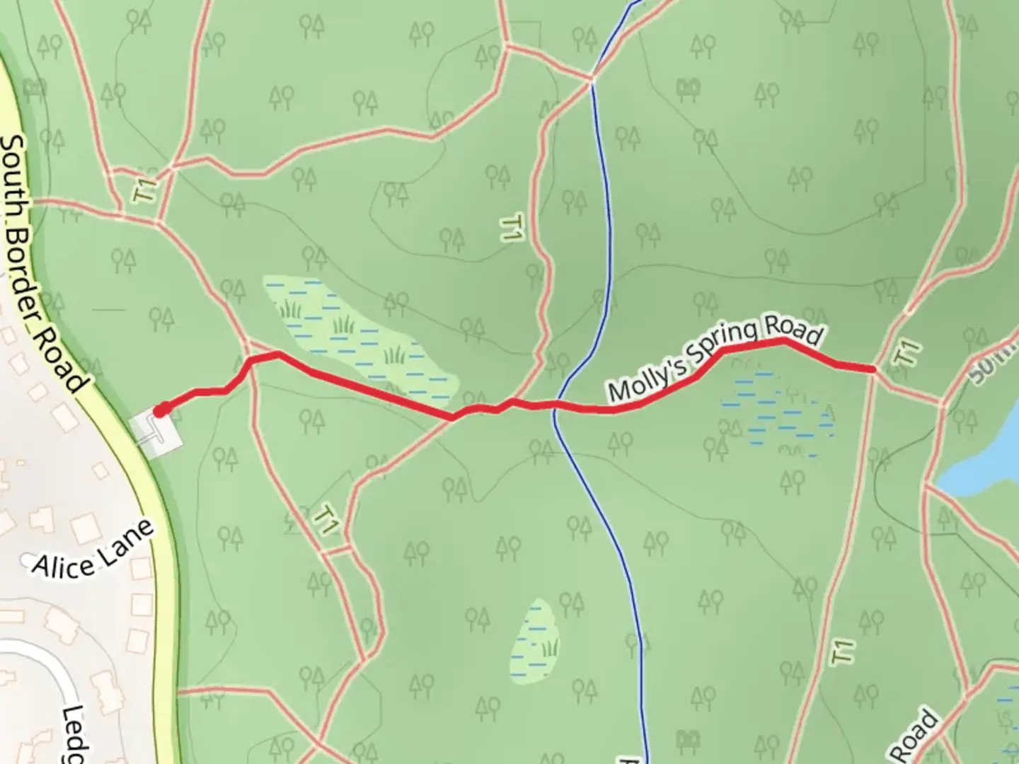 An image depicting the trail Molly Spring Road and its surrounding area.