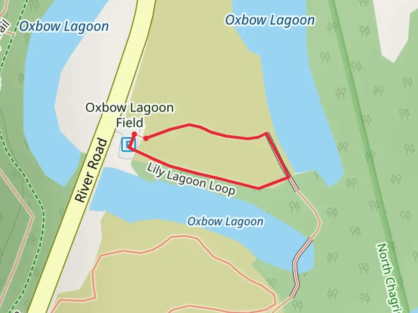 An image depicting the trail Lily Lagoon Loop and its surrounding area.