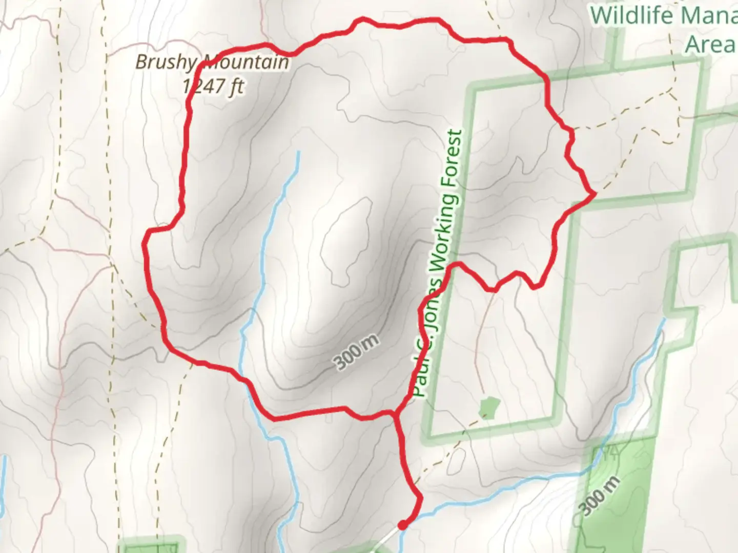An image depicting the trail Brushy Mountain Loop from Number Six Road and its surrounding area.