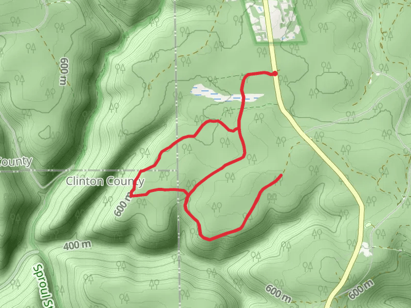 Baldwin Branch - Black Forest Trail