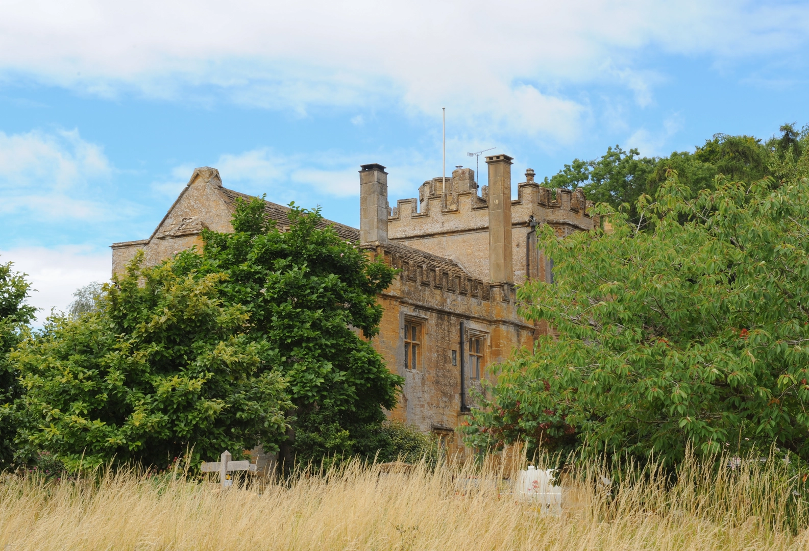 An image depicting the trail Leland Trail and its surrounding area.