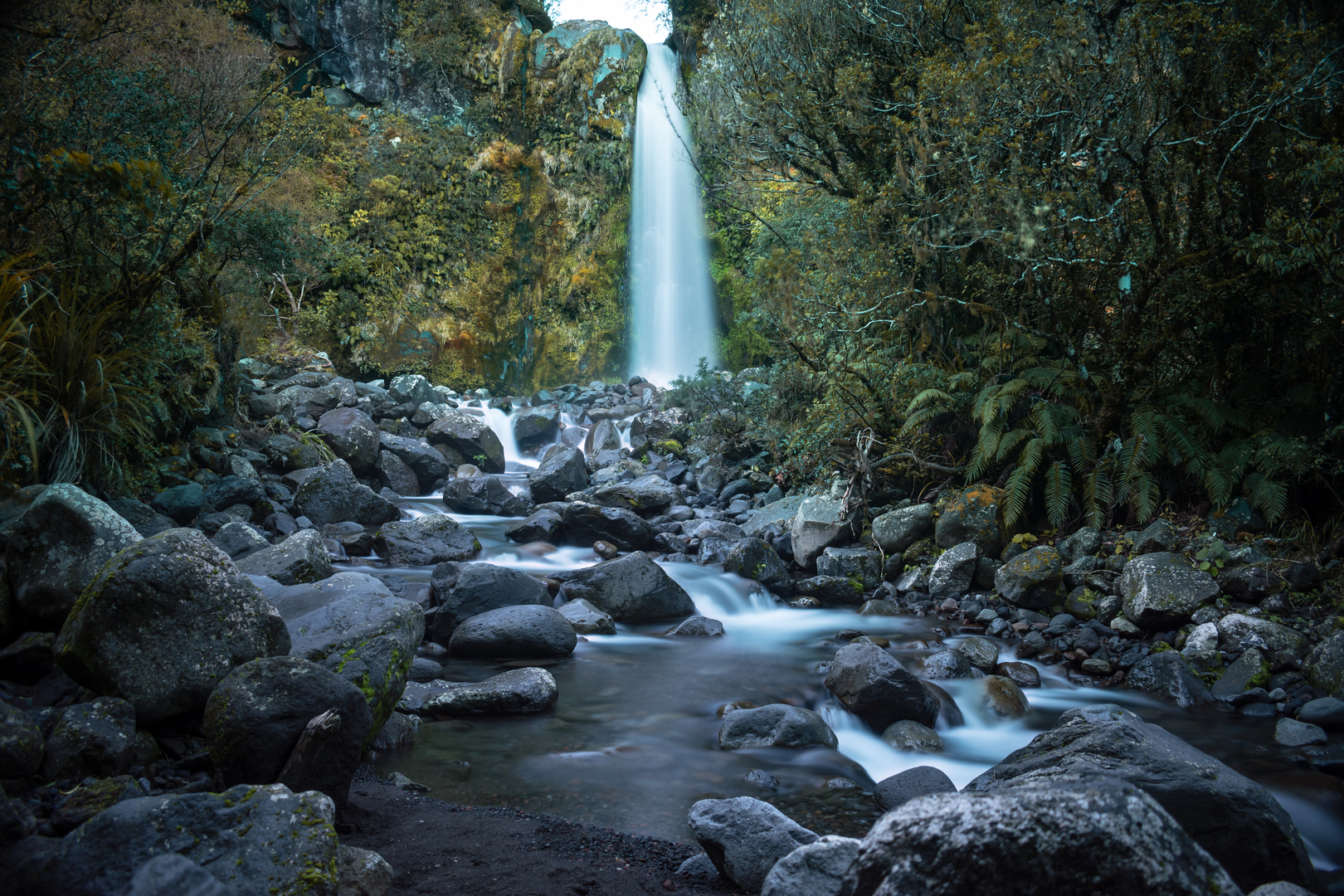An image depicting the trail Waingongoro Hut from Dawson Falls and its surrounding area.