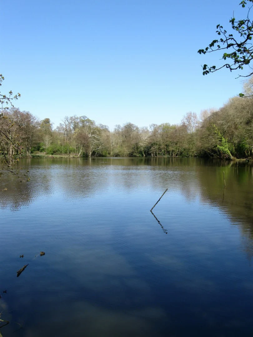 An image depicting the trail Poling Loop and its surrounding area.