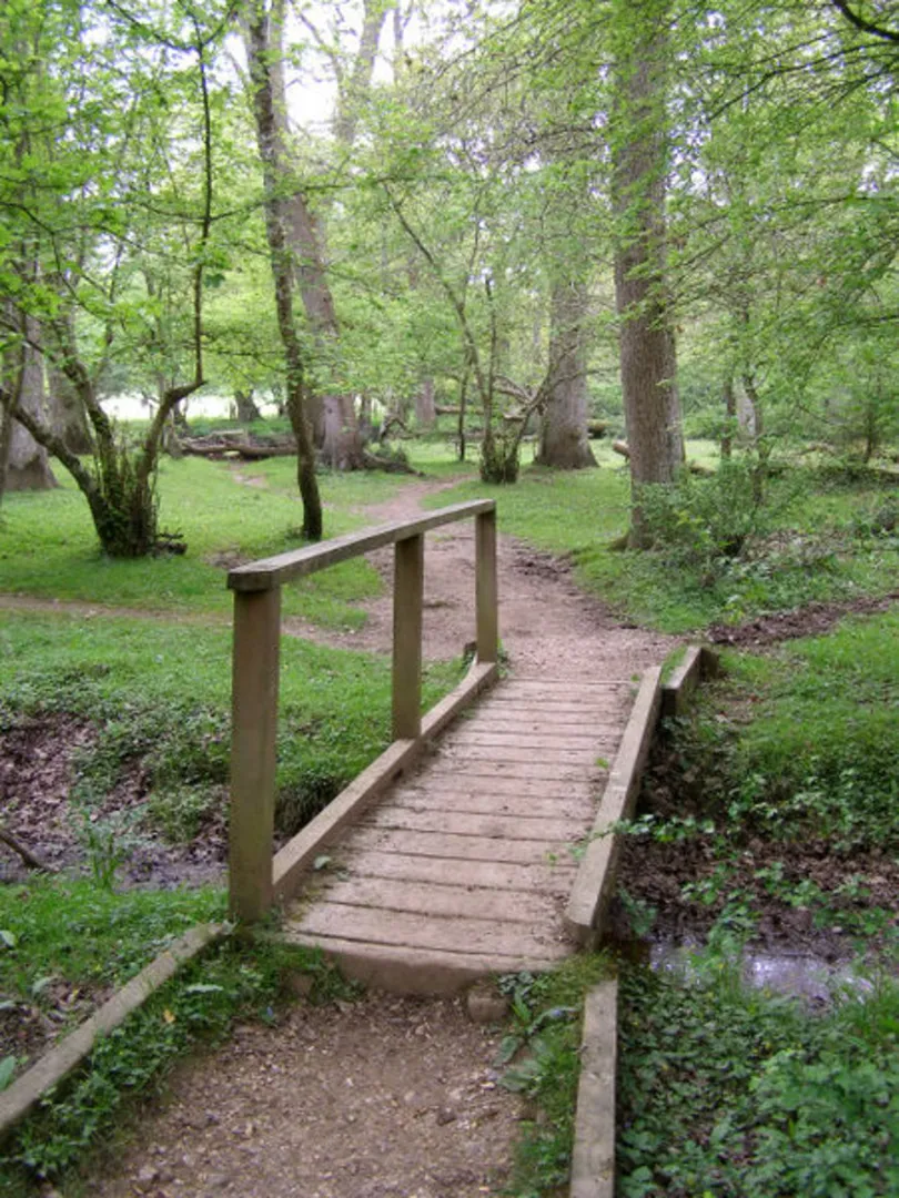 An image depicting the trail Dilton Loop via Perrywood Ironshill and Pignalhill Inclosure and its surrounding area.
