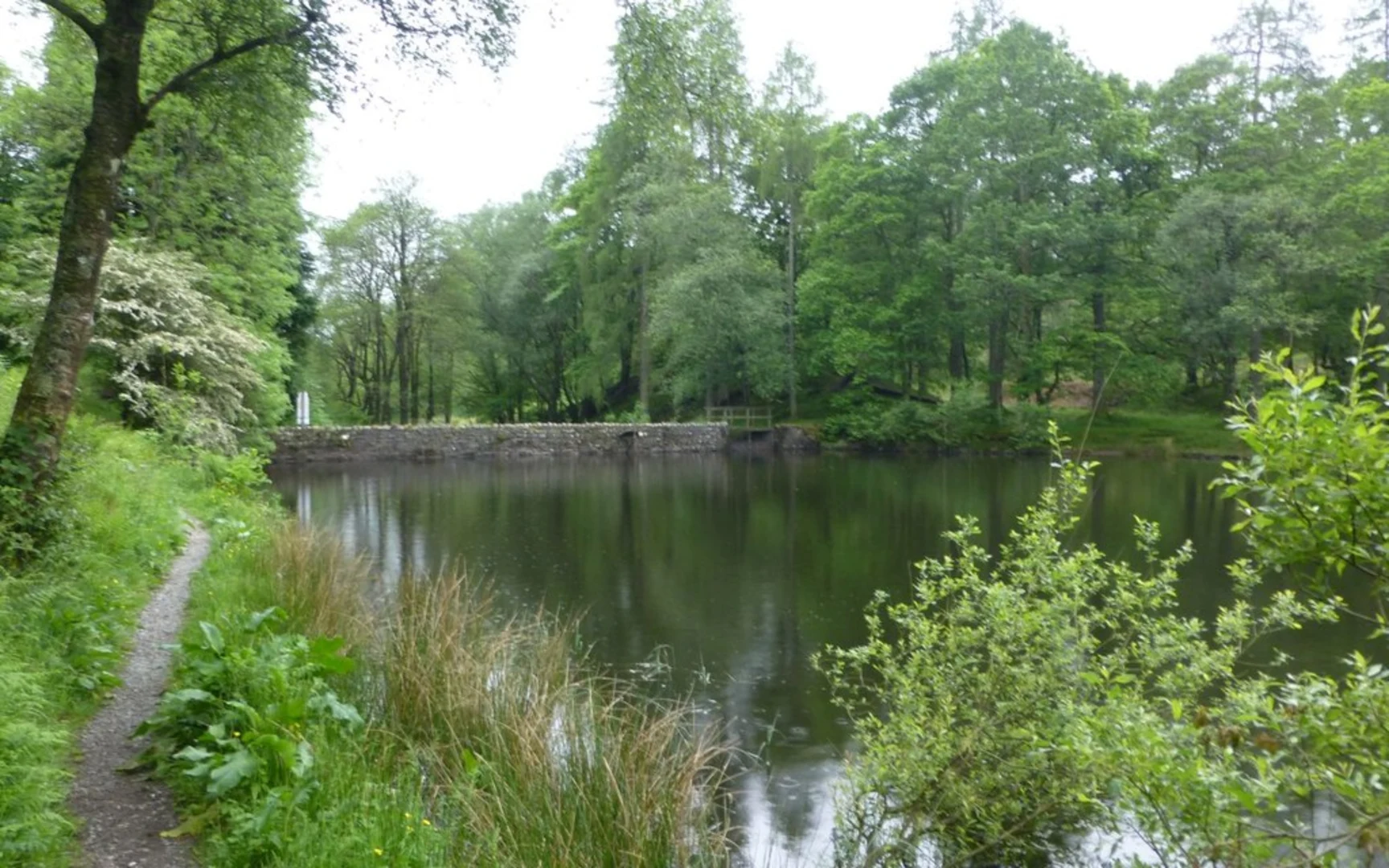 An image depicting the trail Tarn Hows and Yew Tree Tarn via Cumbria Way and its surrounding area.