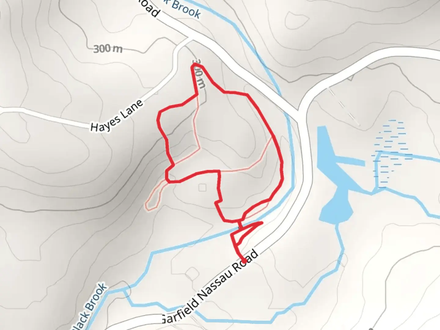 An image depicting the trail Black Brook Loop via Main Trail and its surrounding area.