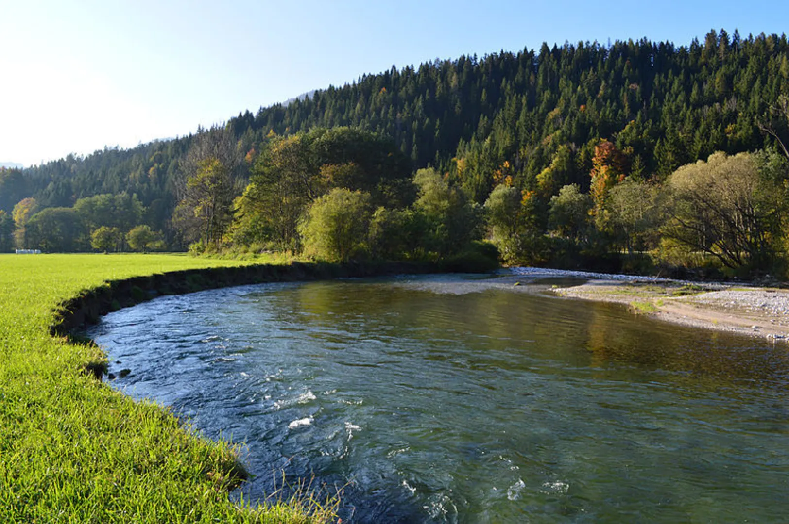 An image depicting the trail Salza Reservoir Forest Trail and its surrounding area.