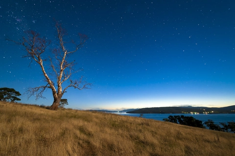 An image depicting the trail Tinderbox Hills Track and its surrounding area.