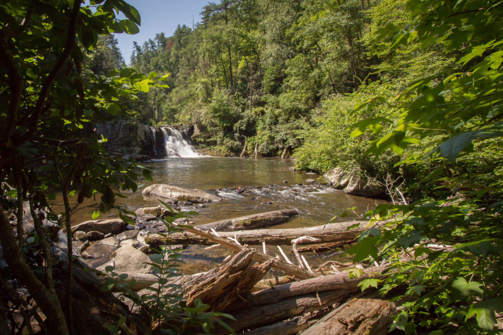 An image depicting the trail Rabbit Creek Trail and its surrounding area.