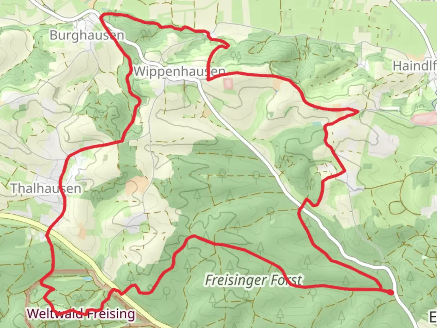 An image depicting the trail Freisinger Forst and Weltwald Freising Loop and its surrounding area.