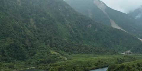 An image depicting the trail Helena Falls Track and its surrounding area.