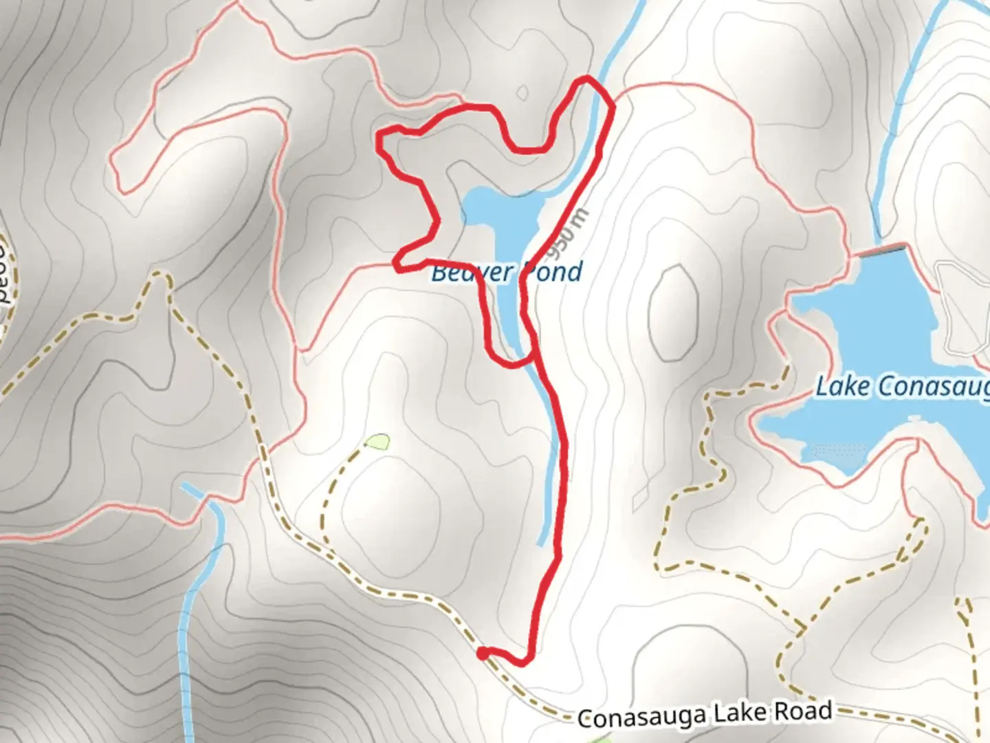 An image depicting the trail Beaver Pond Loop and its surrounding area.