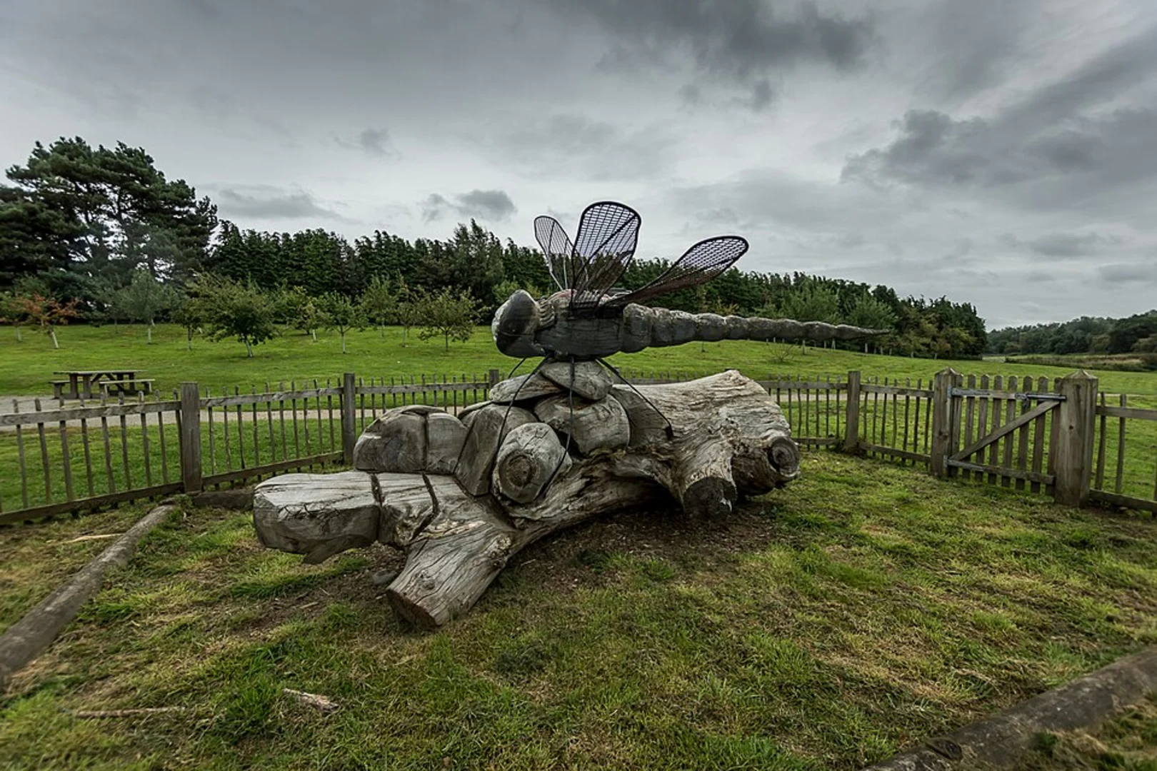 An image depicting the trail Delamere Forest and Blakemere Moss Loop and its surrounding area.