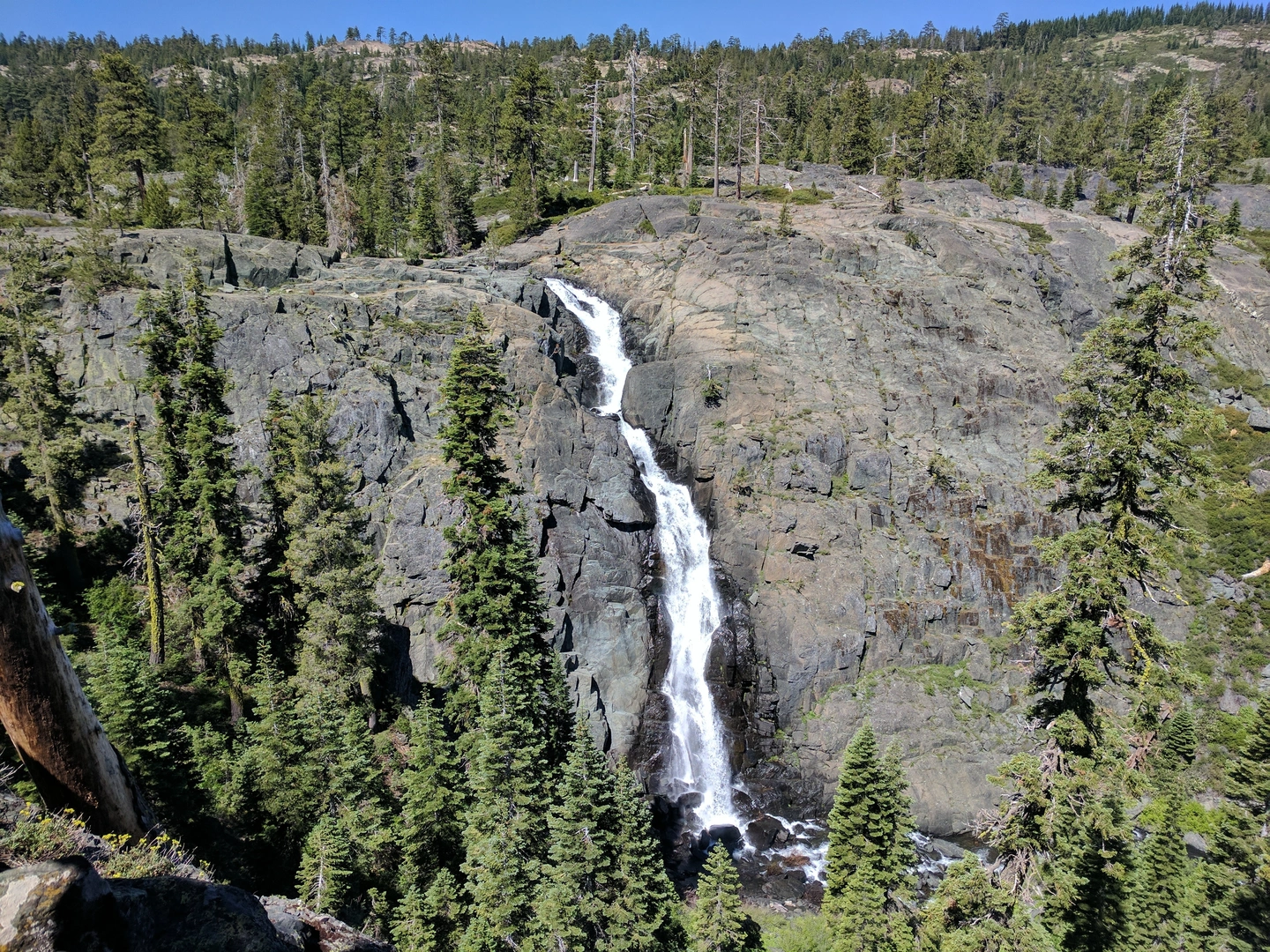 An image depicting the trail Frazier Falls Trail and its surrounding area.