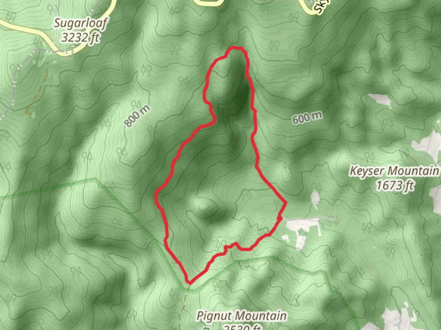 An image depicting the trail Keyser Run Road Loop and its surrounding area.