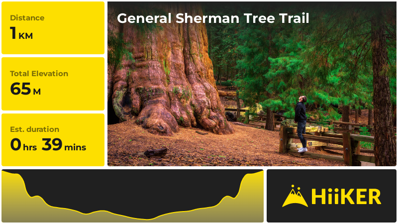 General Sherman Tree Trail Tulare County California