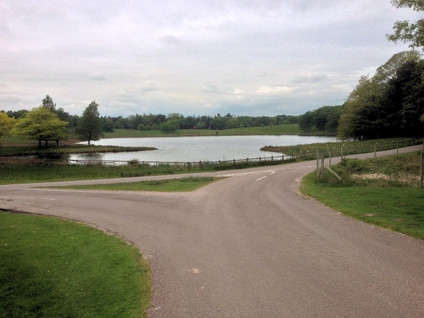An image depicting the trail Tatton Park Loop and its surrounding area.