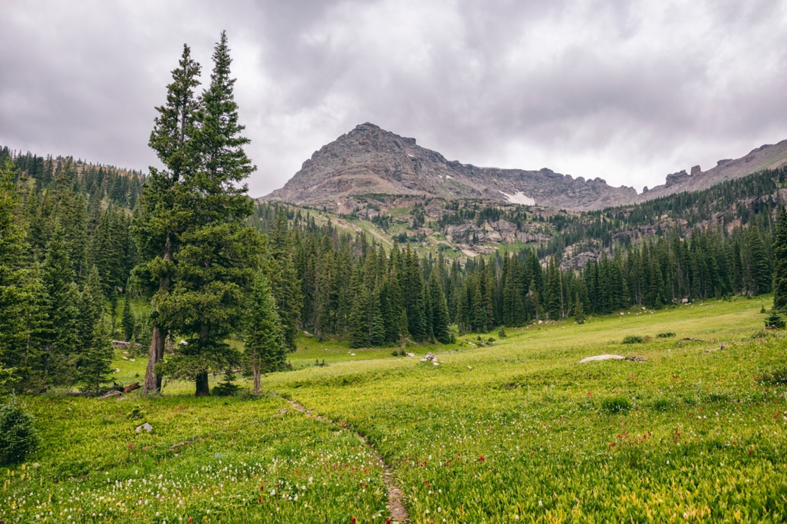 An image depicting the trail Gourd Lake vis Beaver Creek Trail and its surrounding area.