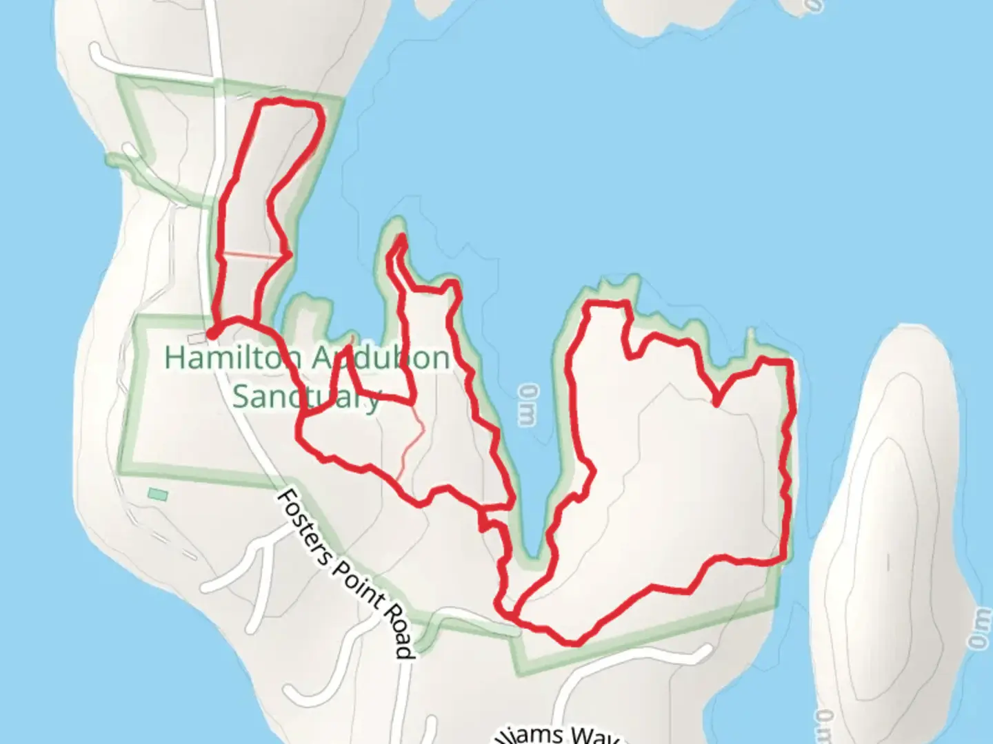 An image depicting the trail Hamilton Audubon Sanctuary Loop and its surrounding area.