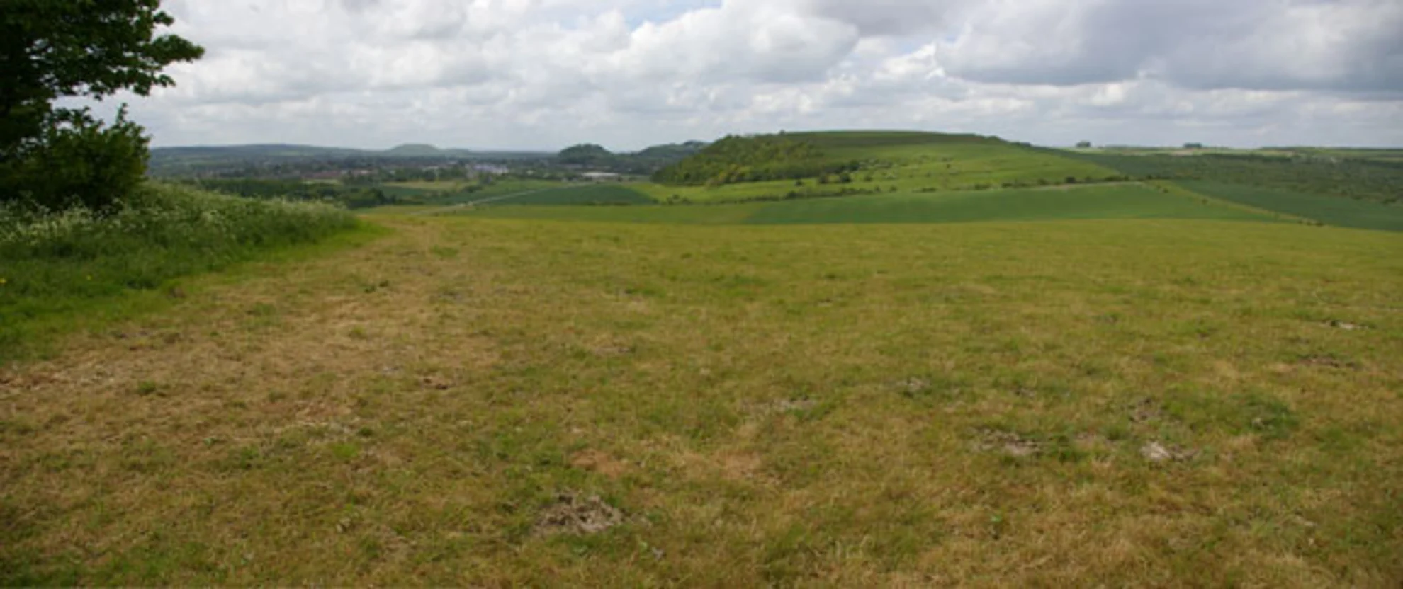 An image depicting the trail Tumulus and Tumulus Middle Hill Loop and its surrounding area.