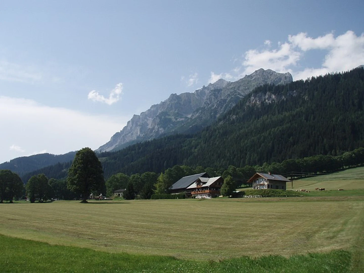 An image depicting the trail Die Bergretter and its surrounding area.