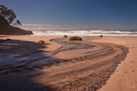 Orokawa Scenic Reserve Short Walking Track