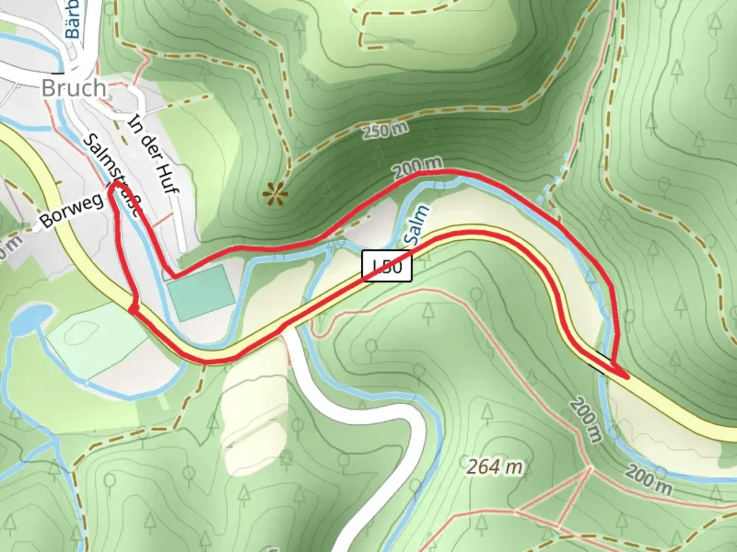 An image depicting the trail Salm Loop via Eifelsteig and its surrounding area.