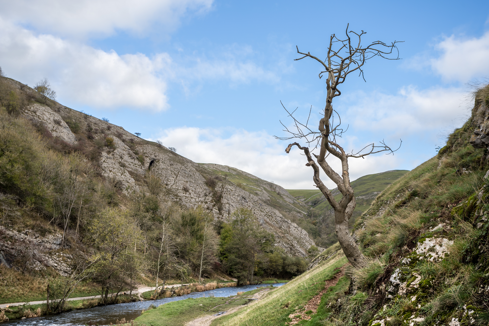 An image depicting the trail Dove Dale and Wolfscote Dale and its surrounding area.