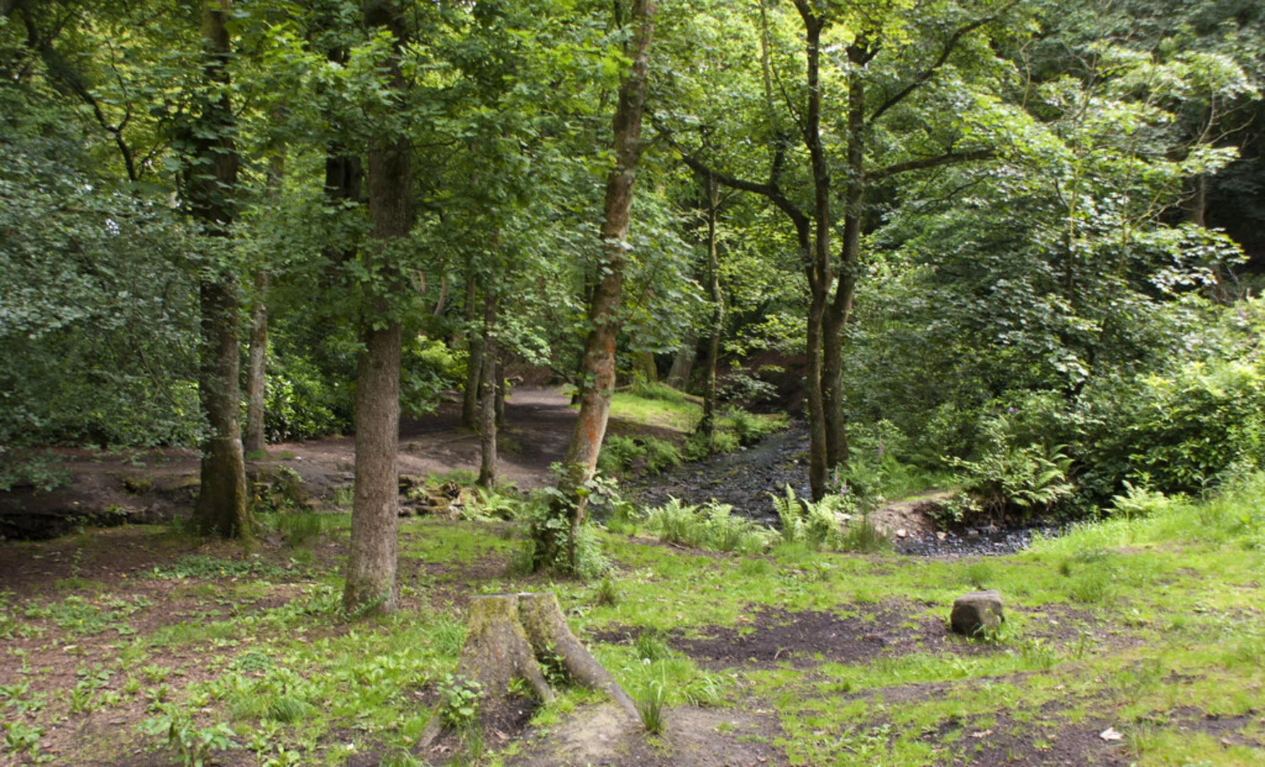 An image depicting the trail Smithills Country Park Loop and its surrounding area.