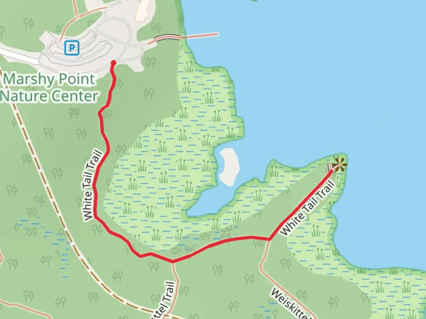 An image depicting the trail White Tail Trail and its surrounding area.